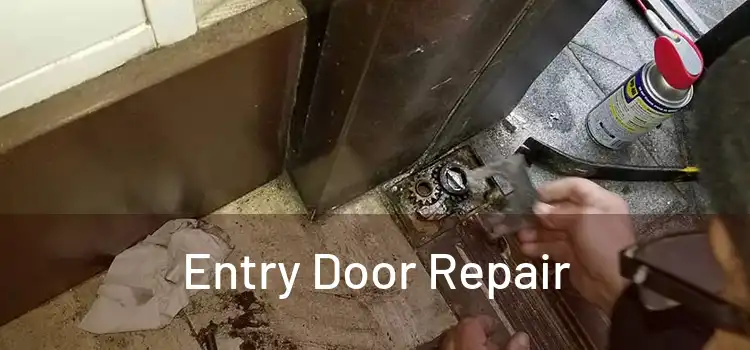 Entry Door Repair