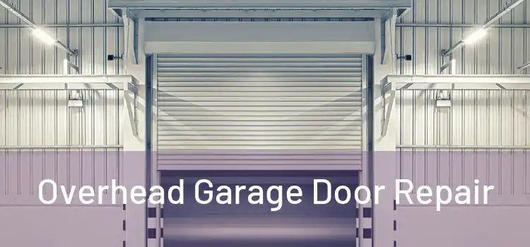 Overhead Garage Door Repair